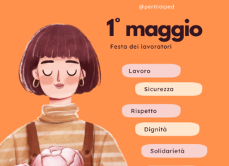 Il perito assicurativo: un professionista ibrido e sconosciuto