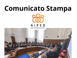 COMMISSIONE DI ALLERTA RAPIDA PRESSO IL MIMIT: INCONTRO DEL 14 FEBBRAIO – RINCARI RCA – CRITICITA’ E PROSPETTIVE FUTURE