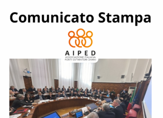 COMMISSIONE DI ALLERTA RAPIDA PRESSO IL MIMIT: INCONTRO DEL 14 FEBBRAIO – RINCARI RCA – CRITICITA’ E PROSPETTIVE FUTURE